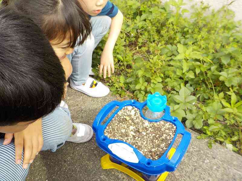 DSCN8305