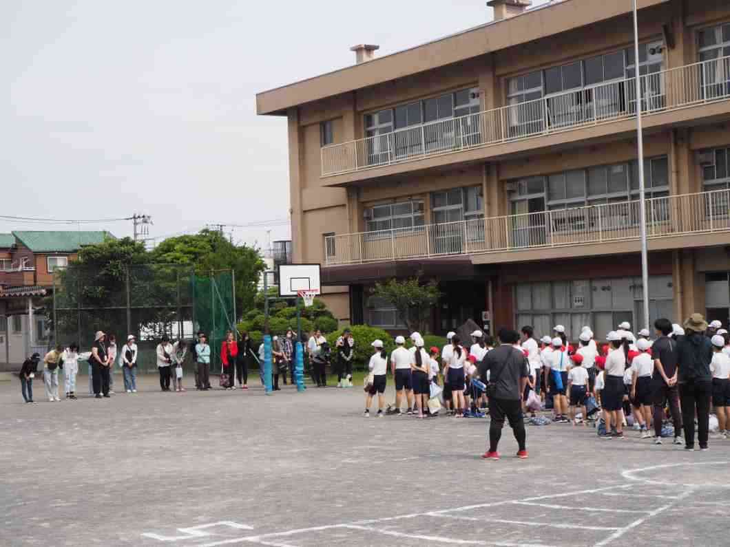 P5293627