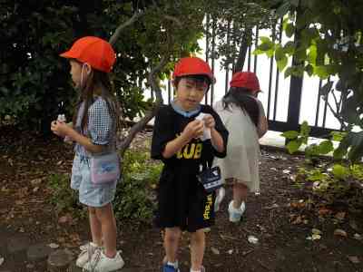 DSCN8784